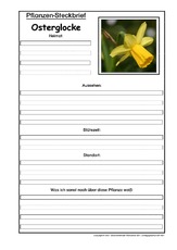 Pflanzensteckbrief-Osterglocke.pdf